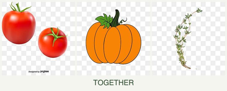 Can you plant tomatoes, pumpkin and thyme together?