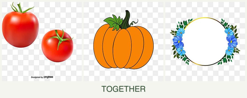 Can you plant tomatoes, pumpkin and zinnias together?