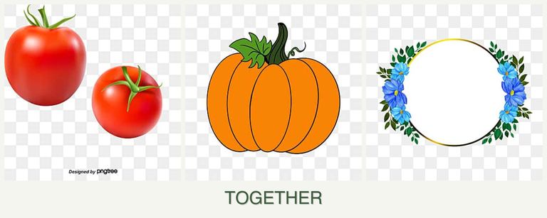 Can you plant tomatoes, pumpkin and zinnias together?