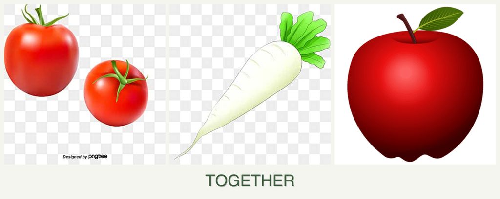 Can you plant tomatoes, radishes and apples together?