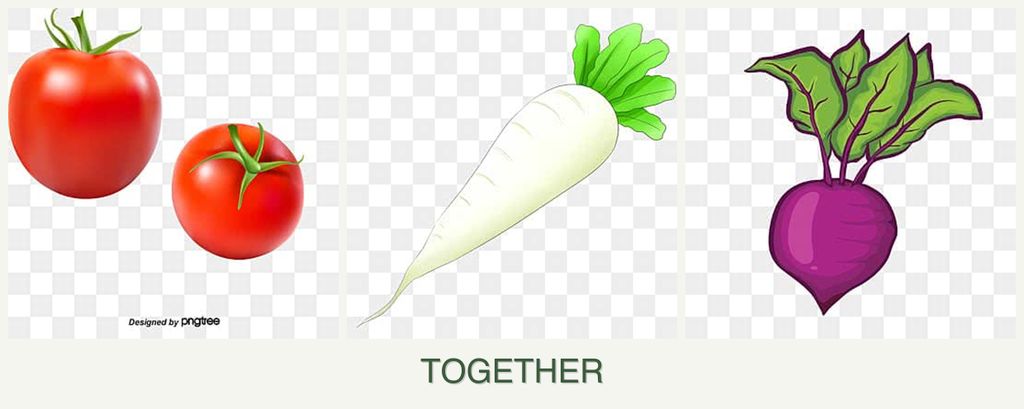 Can you plant tomatoes, radishes and beets together?