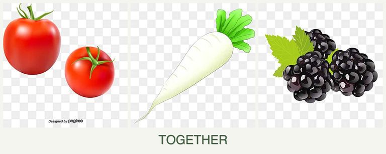 Can you plant tomatoes, radishes and blackberries together?