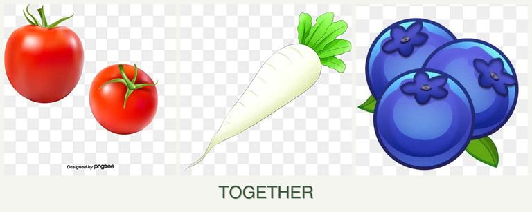 Can you plant tomatoes, radishes and blueberries together?
