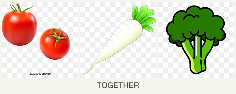 Can you plant tomatoes, radishes and broccoli together?