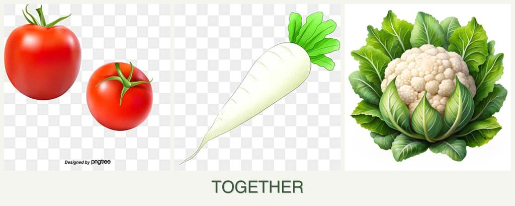 Can you plant tomatoes, radishes and cauliflower together?