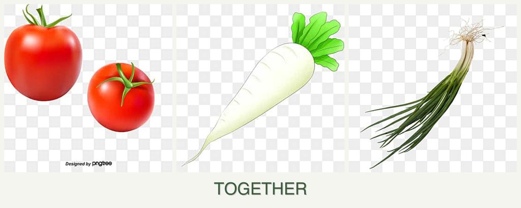 Can you plant tomatoes, radishes and chives together?