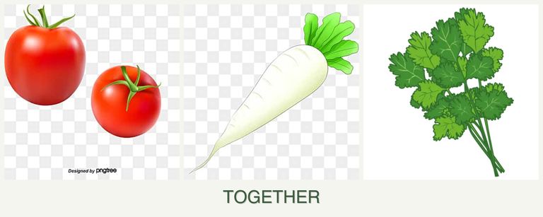 Can you plant tomatoes, radishes and cilantro together?