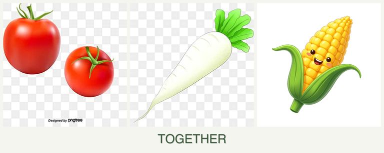 Can you plant tomatoes, radishes and corn together?