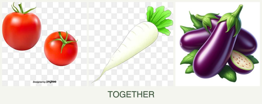 Can you plant tomatoes, radishes and eggplant together?