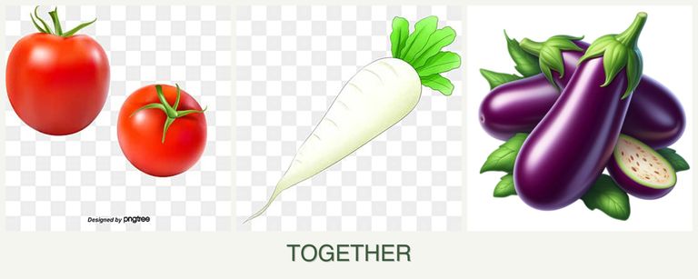 Can you plant tomatoes, radishes and eggplant together?