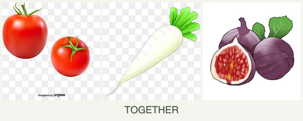 Can you plant tomatoes, radishes and figs together?