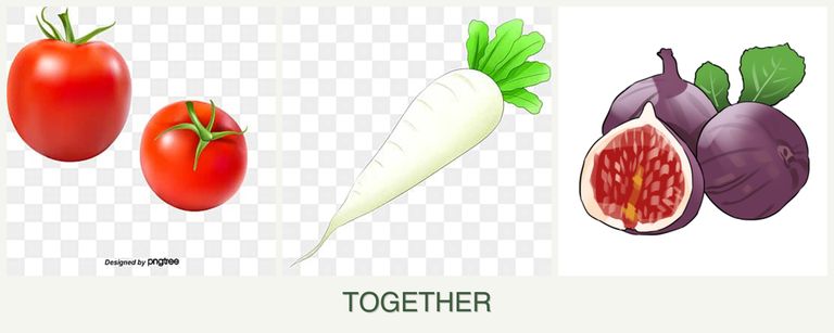 Can you plant tomatoes, radishes and figs together?