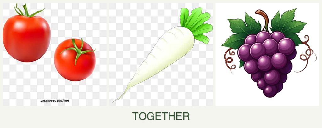 Can you plant tomatoes, radishes and grapes together?