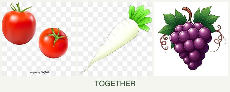 Can you plant tomatoes, radishes and grapes together?