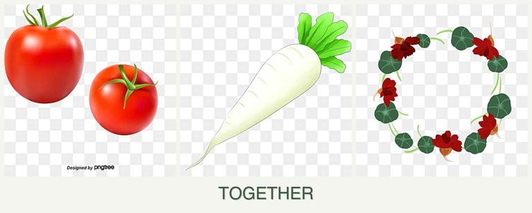 Can you plant tomatoes, radishes and nasturtiums together?