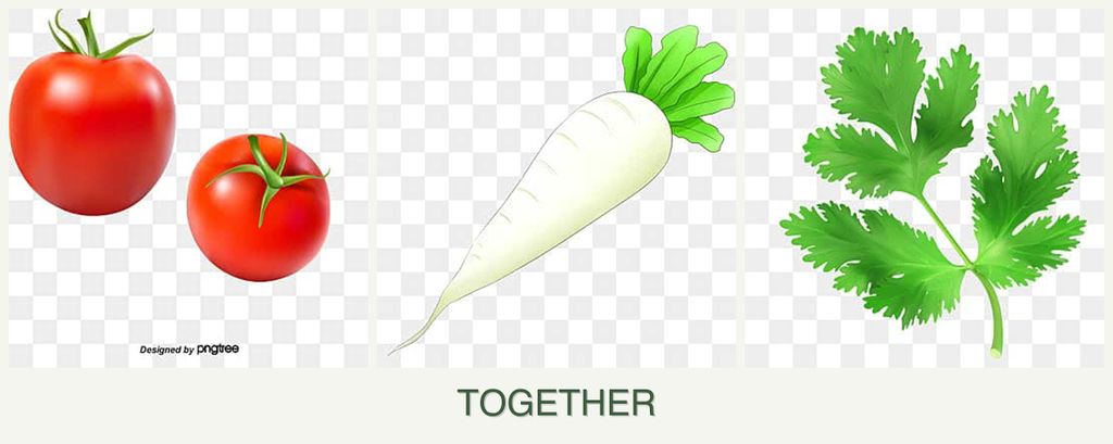 Can you plant tomatoes, radishes and parsley together?