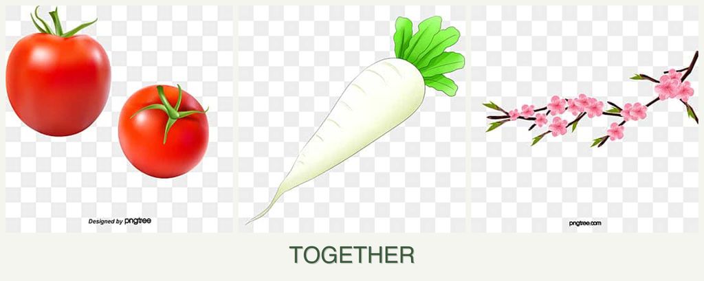 Can you plant tomatoes, radishes and peaches together?