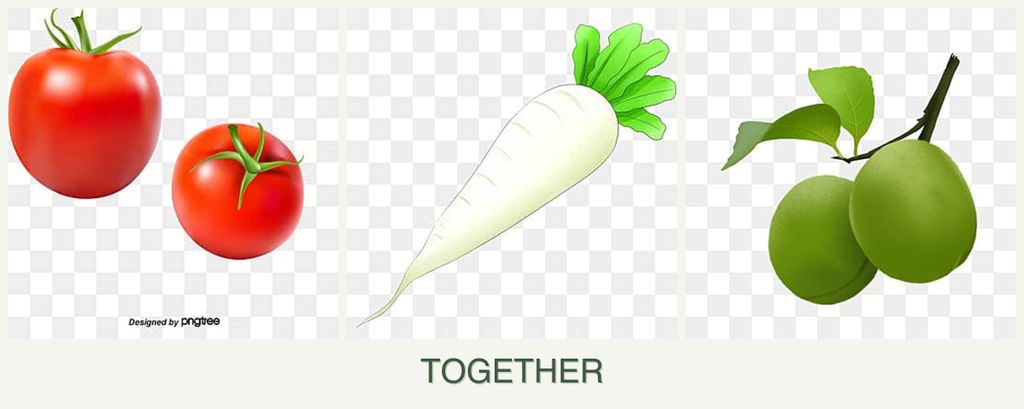 Can you plant tomatoes, radishes and plums together?