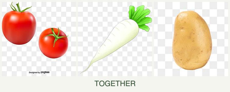 Can you plant tomatoes, radishes and potatoes together?