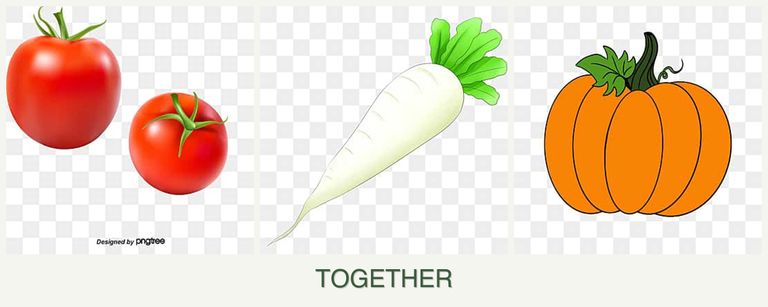 Can you plant tomatoes, radishes and pumpkin together?