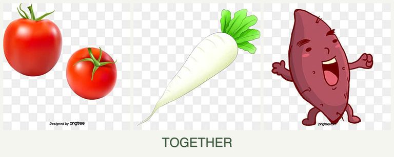 Can you plant tomatoes, radishes and sweet potatoes together?