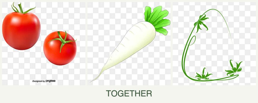 Can you plant tomatoes, radishes and tarragon together?