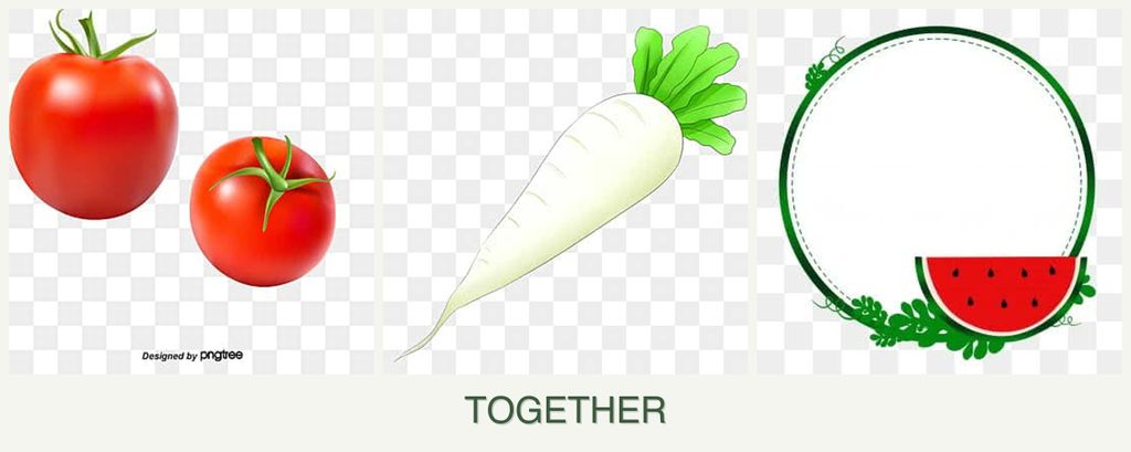 Can you plant tomatoes, radishes and watermelons together?