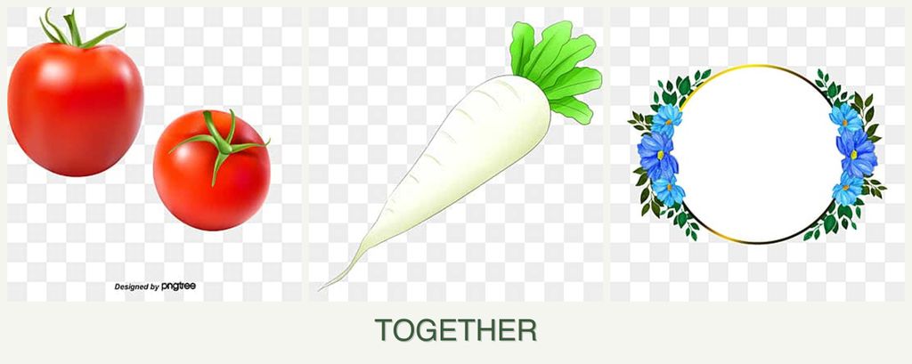 Can you plant tomatoes, radishes and zinnias together?