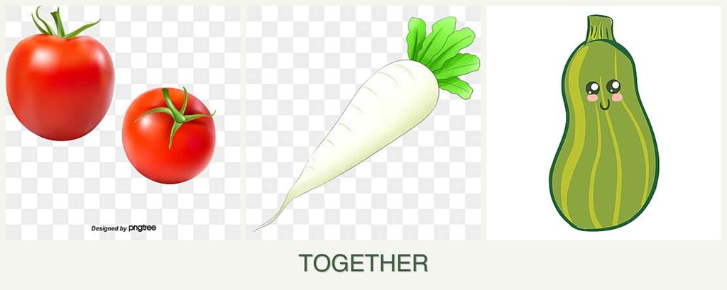 Can you plant tomatoes, radishes and zucchini together?