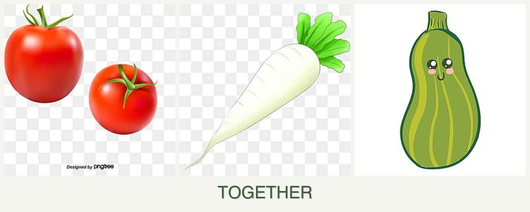 Can you plant tomatoes, radishes and zucchini together?