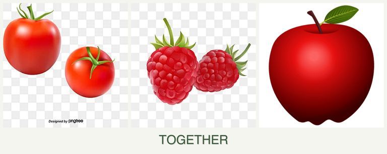 Can you plant tomatoes, raspberries and apples together?