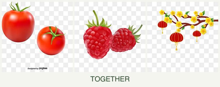 Can you plant tomatoes, raspberries and apricots together?