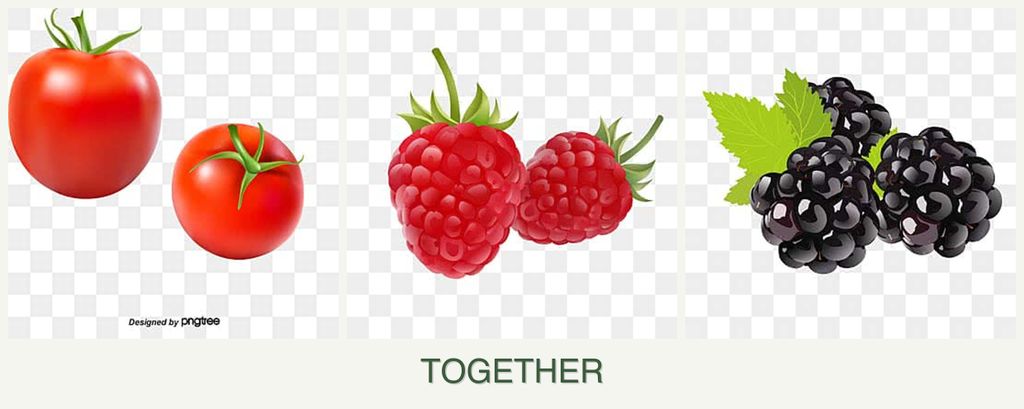Can you plant tomatoes, raspberries and blackberries together?