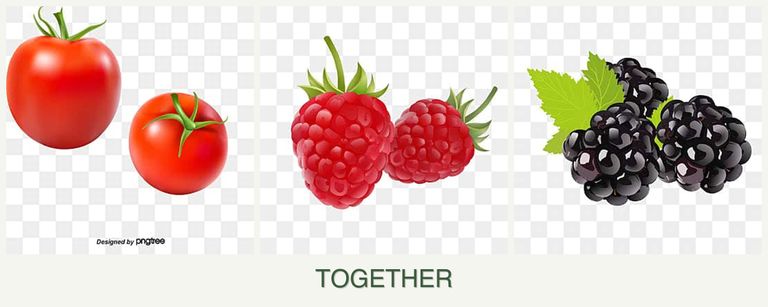Can you plant tomatoes, raspberries and blackberries together?