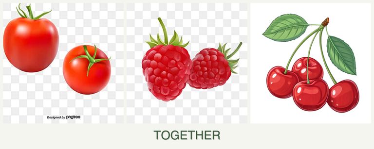 Can you plant tomatoes, raspberries and cherries together?