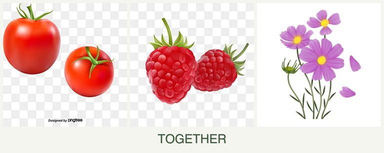 Can you plant tomatoes, raspberries and cosmos together?