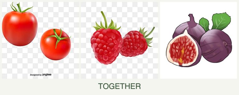 Can you plant tomatoes, raspberries and figs together?