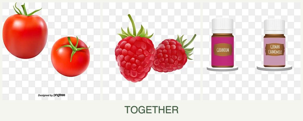 Can you plant tomatoes, raspberries and geraniums together?