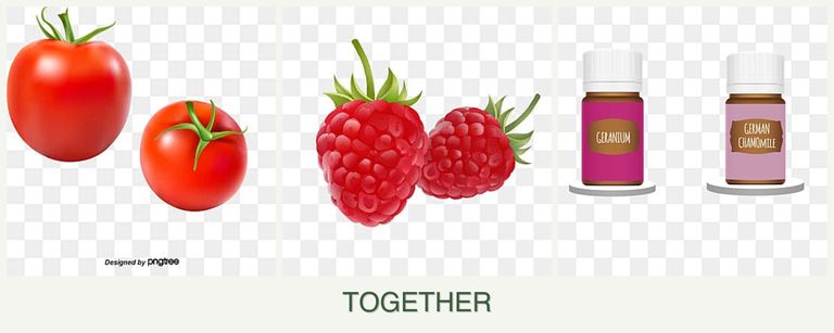 Can you plant tomatoes, raspberries and geraniums together?