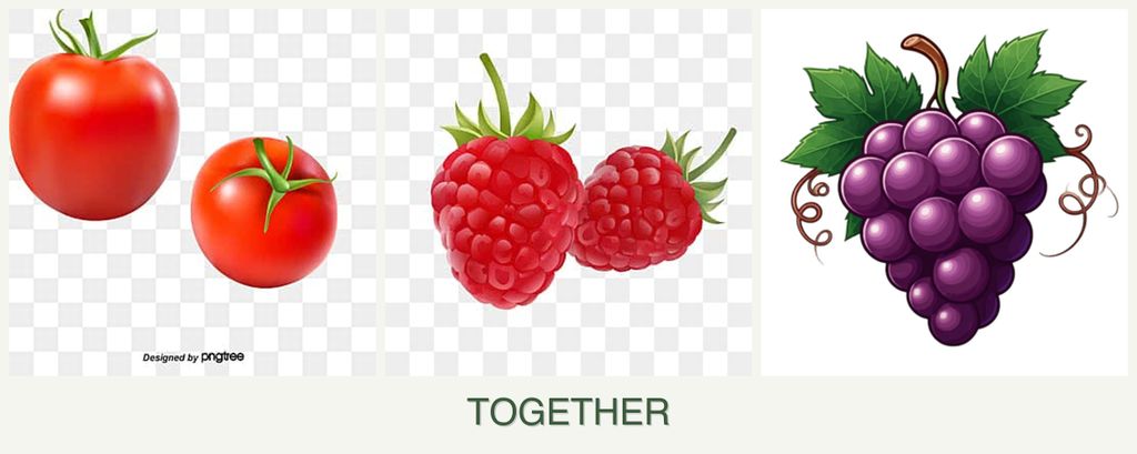 Can you plant tomatoes, raspberries and grapes together?