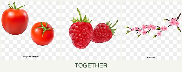 Can you plant tomatoes, raspberries and peaches together?
