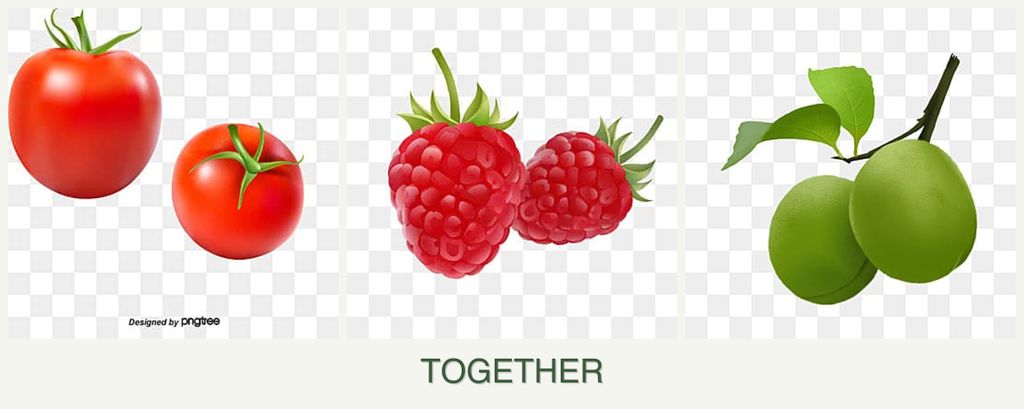 Can you plant tomatoes, raspberries and plums together?