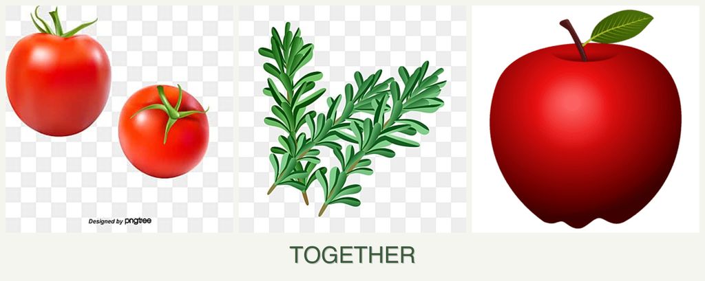 Can you plant tomatoes, rosemary and apples together?