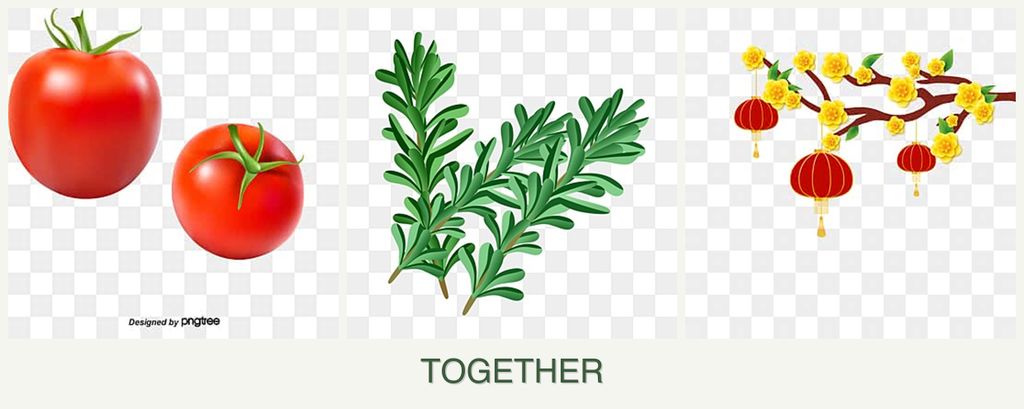 Can you plant tomatoes, rosemary and apricots together?