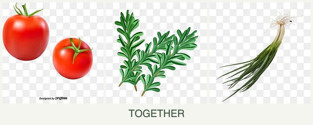 Can you plant tomatoes, rosemary and chives together?