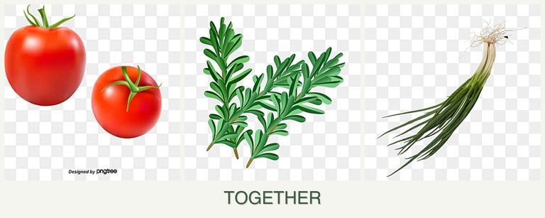 Can you plant tomatoes, rosemary and chives together?