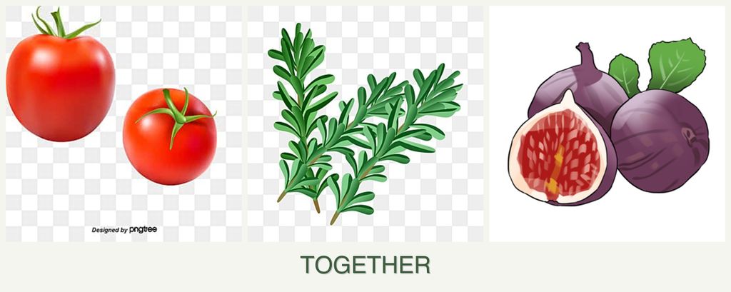 Can you plant tomatoes, rosemary and figs together?