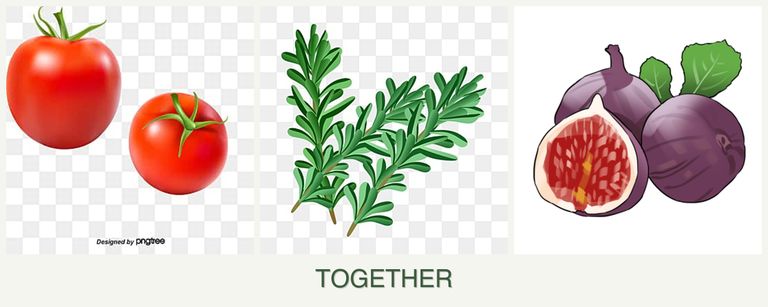 Can you plant tomatoes, rosemary and figs together?