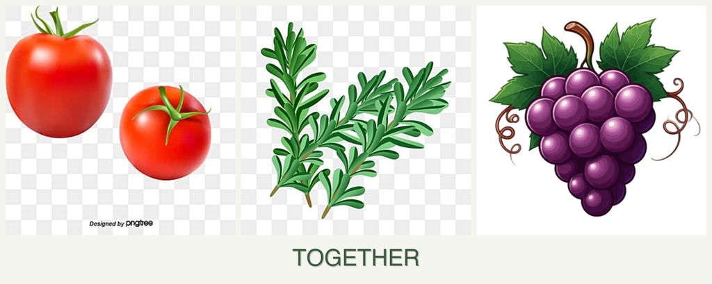 Can you plant tomatoes, rosemary and grapes together?