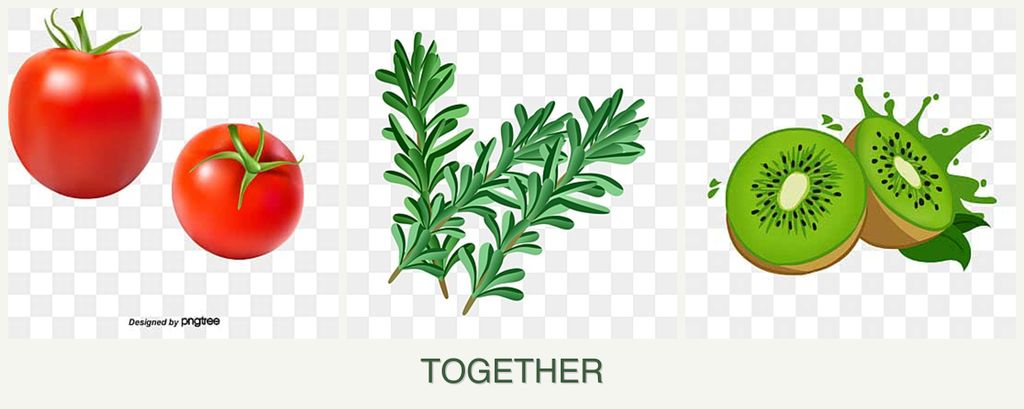 Can you plant tomatoes, rosemary and kiwi together?